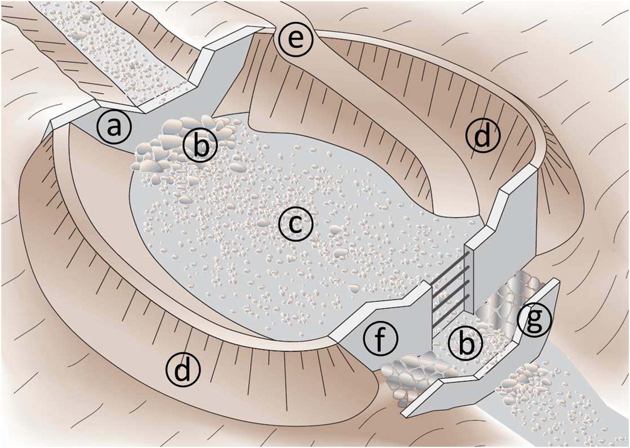 Dam tested a) closed dam, b) slit grilled dam, c) slot dam and d